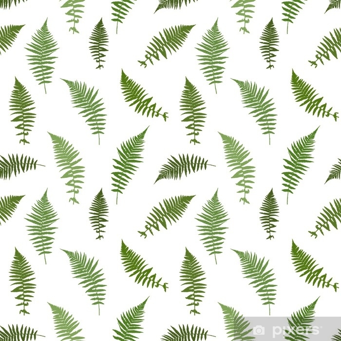 700x700 Fern Leaf Vector Background Illustration Poster