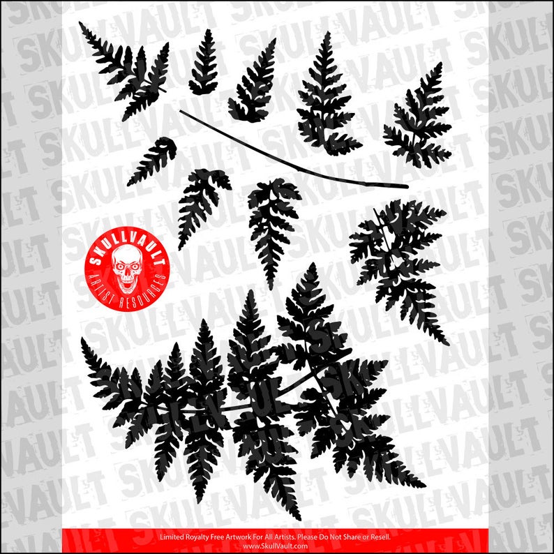 Fern Vector Silhouettes Etsy 794x794 Fern Vector Silhouettes Etsy
