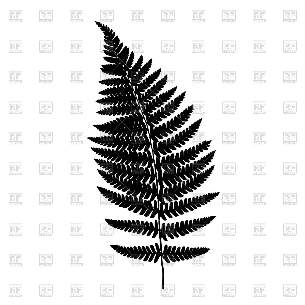 Fern Frond Black Silhouette Vector Image Of Plants And Animals 1200x1200 Fern Frond Black Silhouette Vector Image Of Plants And Animals