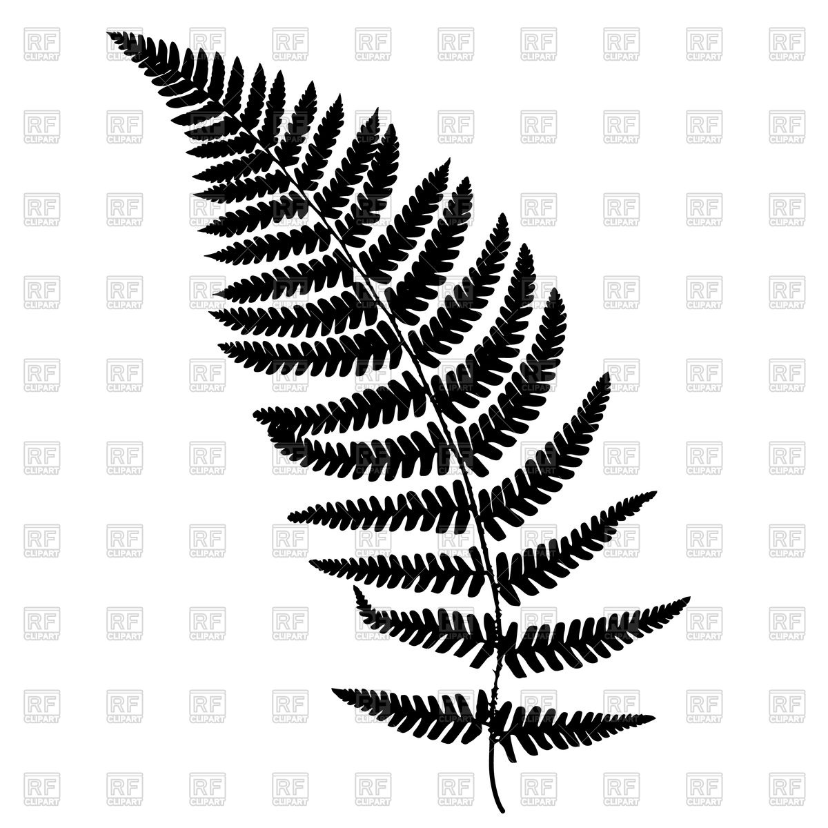 Fern Frond Silhouette Vector Image Of Plants And Animals 1200x1200 Fern Frond Silhouette Vector Image Of Plants And Animals