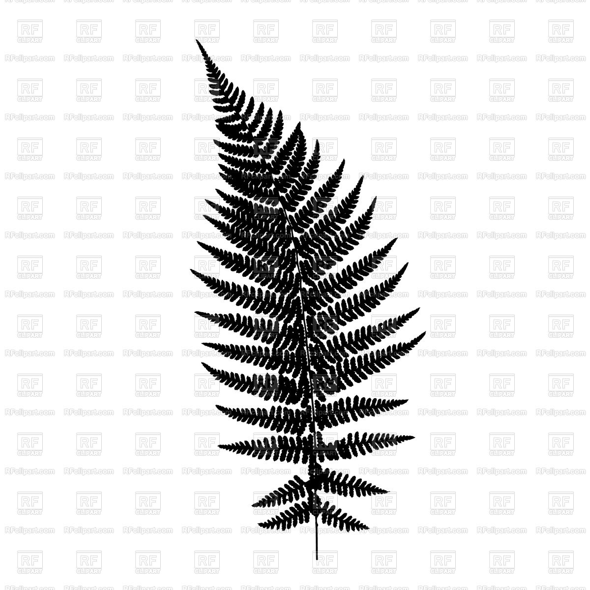 Fern Leaf Silhouette Vector Image Of Plants And Animals 1200x1200 Fern Leaf Silhouette Vector Image Of Plants And Animals
