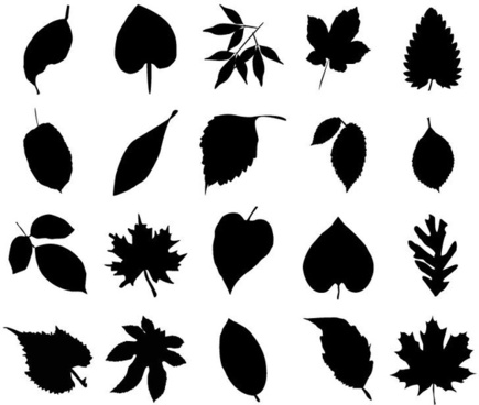 Fern Vector Free Vector Download 435x368 Fern Vector Free Vector Download
