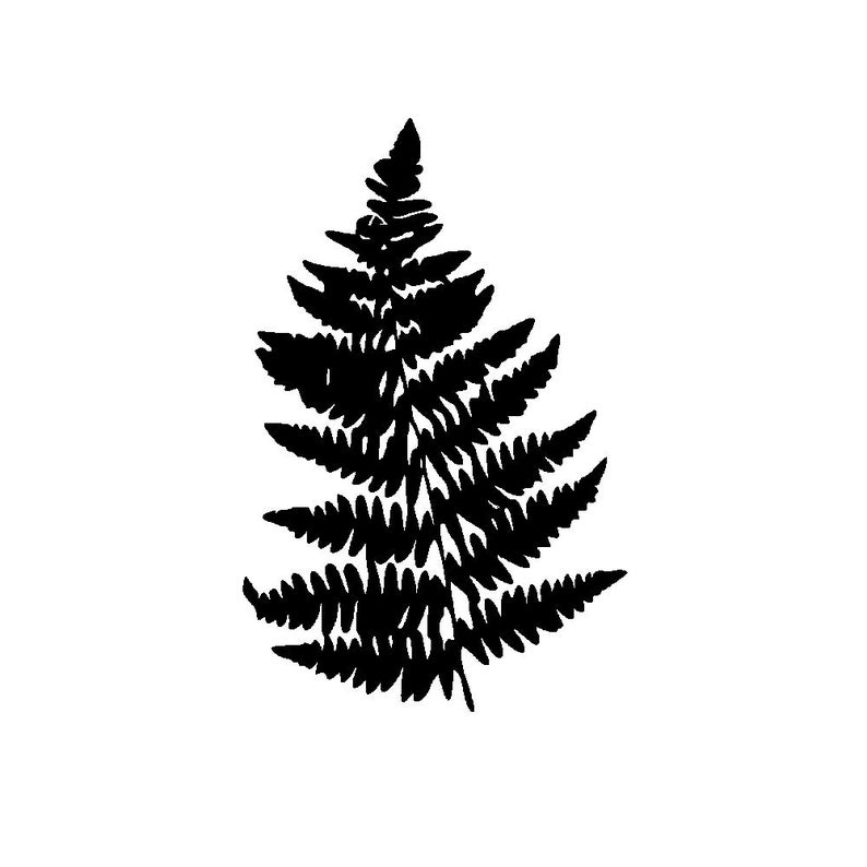Fern Vector Graphic Instant Download For Cricut Etsy 794x794 Fern Vector Graphic Instant Download For Cricut Etsy