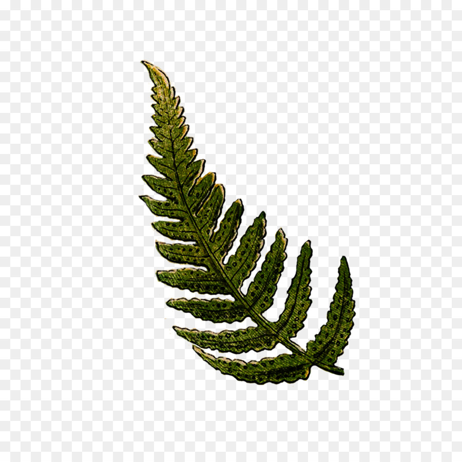 Pencil Clipart 900x900 Pencil Clipart