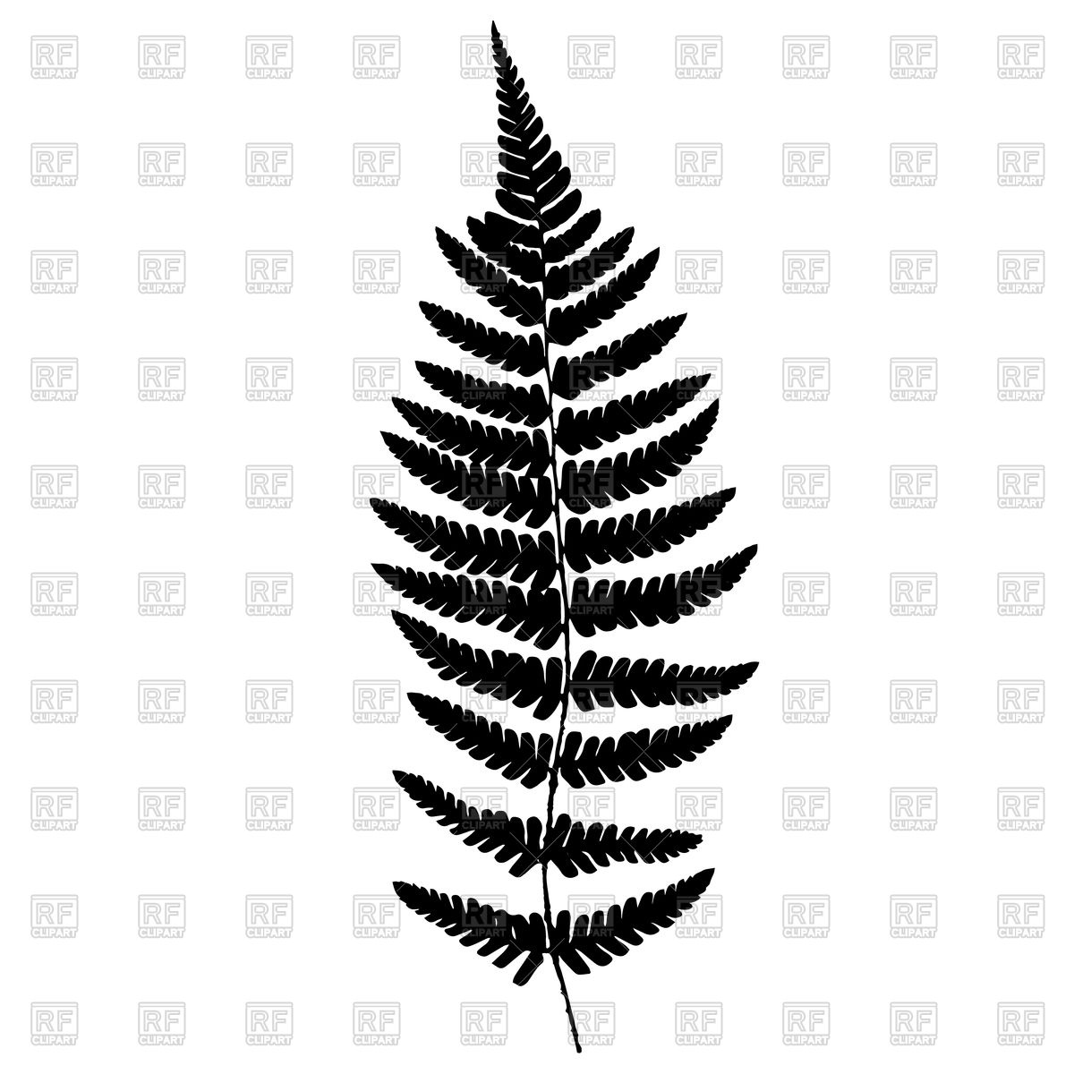 Fern Frond Silhouette Vector Image Of Plants And Animals 1200x1200 Fern Frond Silhouette Vector Image Of Plants And Animals