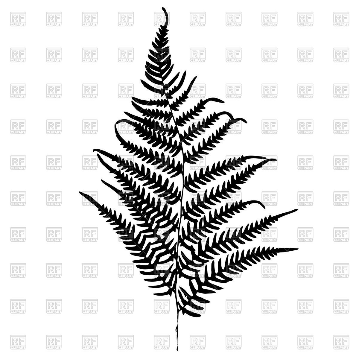 Fern Silhouette Vector Image Vector Illustration Of Plants 1200x1200 Fern Silhouette Vector Image Vector Illustration Of Plants