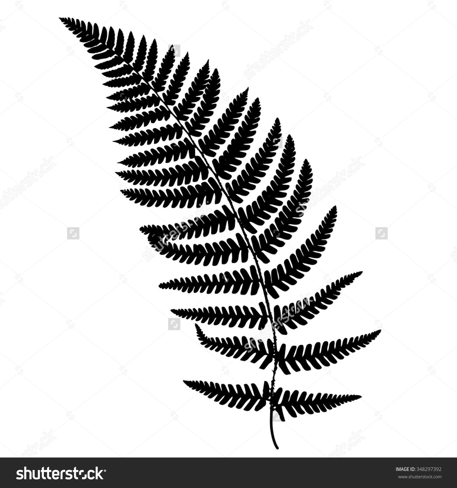Fern Frond Black Silhouette Vector Illustration Forest Concept 1500x1600 Fern Frond Black Silhouette Vector Illustration Forest Concept