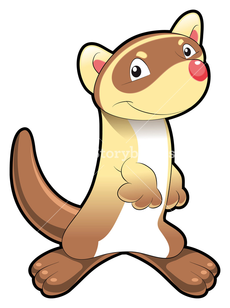 Ferret Vector