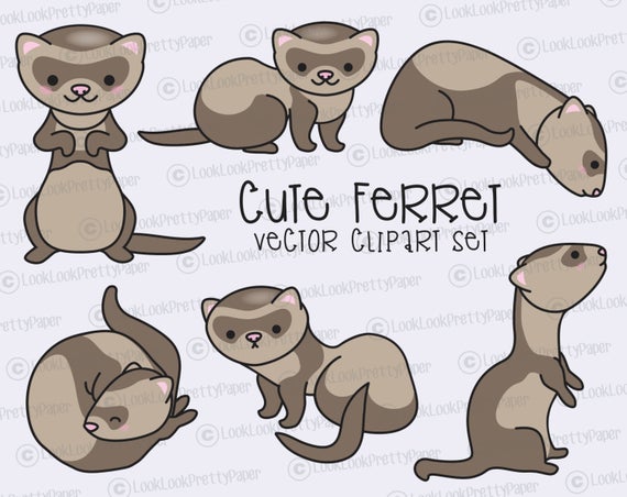 570x452 Premium Vector Clipart Kawaii Ferret Cute Ferrets Clipart Etsy