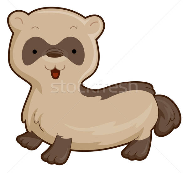 600x553 Cute Ferret Vector Illustration Lenm