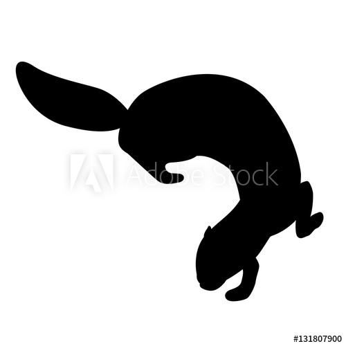 500x500 Ferret Vector Illustration Black Silhouette