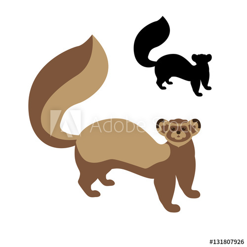 500x500 Ferret Vector Illustration Style Flat Set