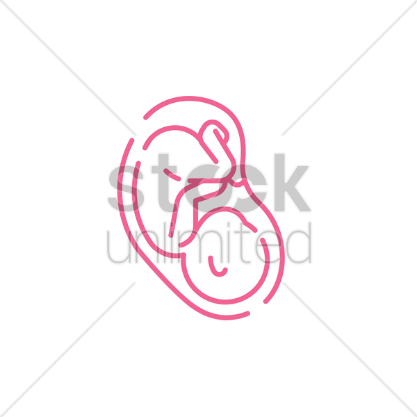 600x600 Fetus Vector Image