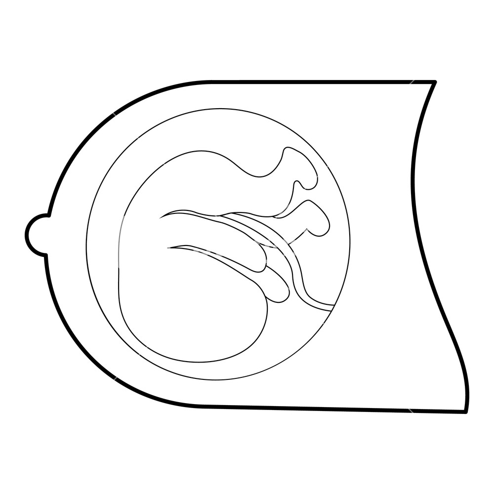 1000x1000 Fetus Icon Isometric Illustration Of Fetus Vector Icon For Web