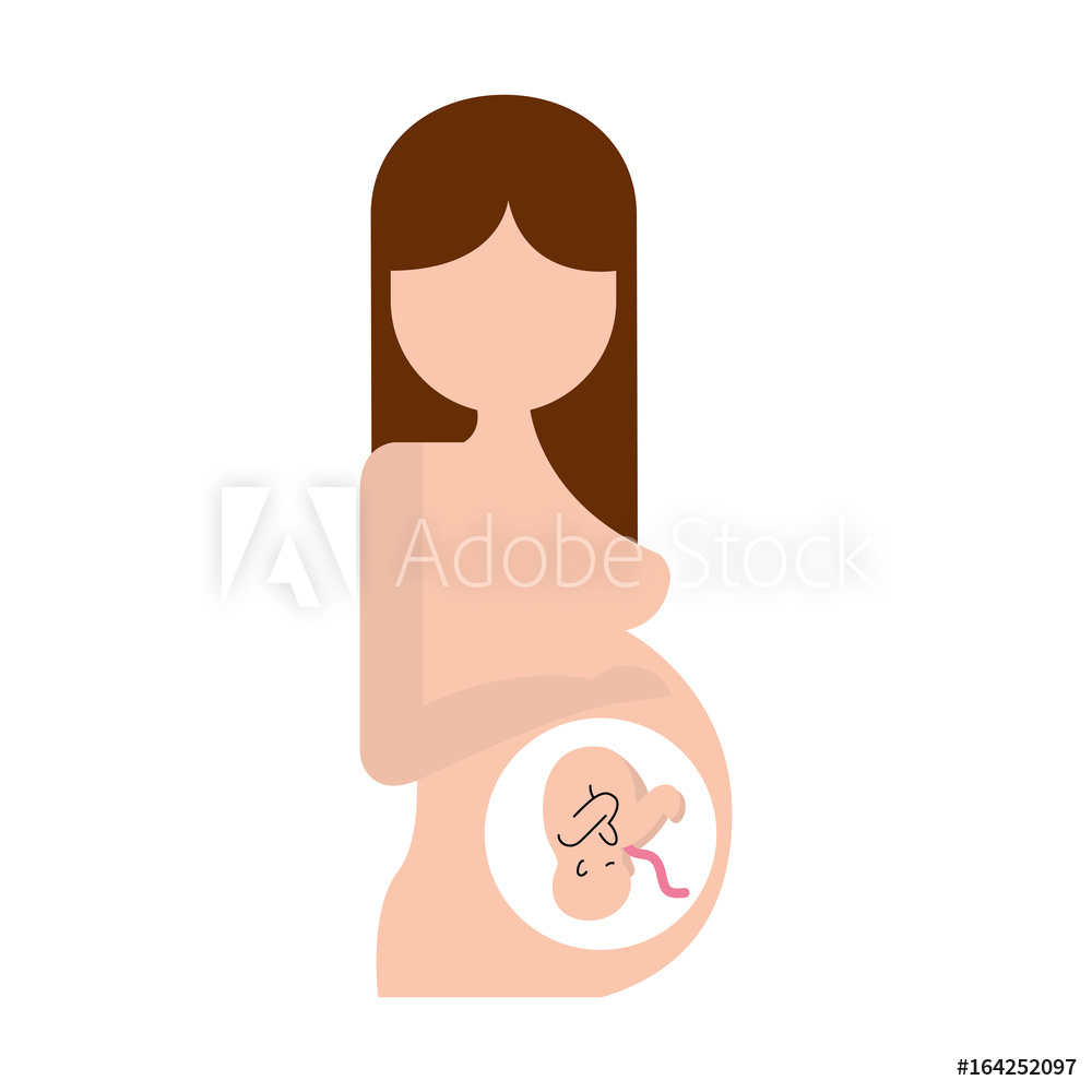 1000x1000 Photo Art Print Pregnant Woman With Her Fetus Vector