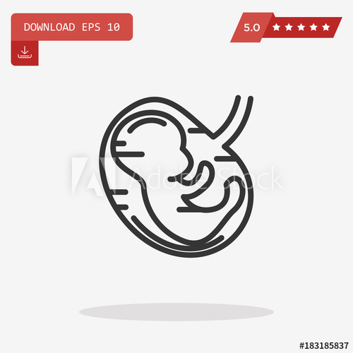 500x500 Human Fetus Vector Icon