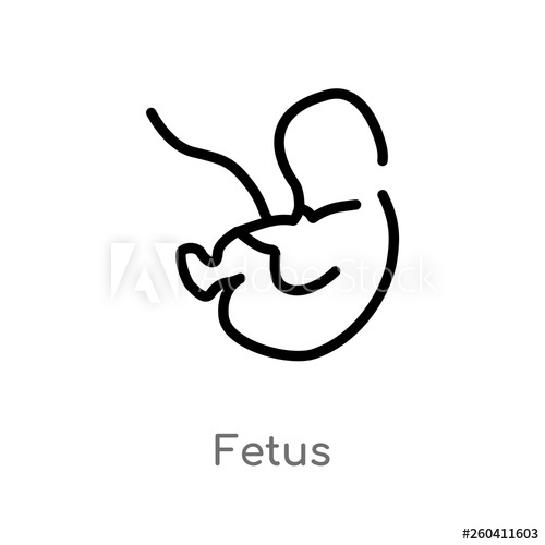 500x500 Outline Fetus Vector Icon Isolated Black Simple Line Element