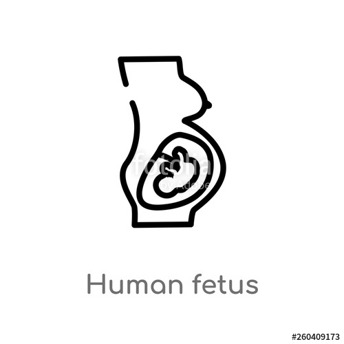 Fetus Vector at Vectorified.com | Collection of Fetus Vector free for ...