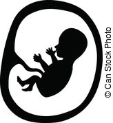 164x179 Fetus Vector Clip Art Royalty