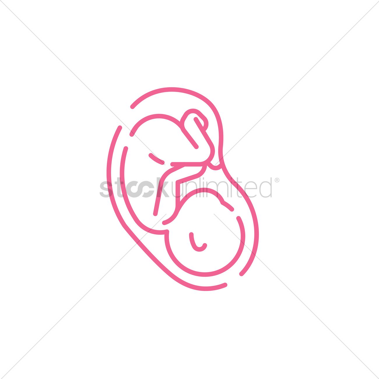1300x1300 Fetus Vector Image