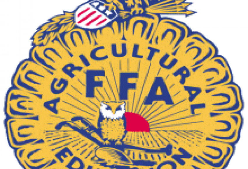 Ffa Emblem Vector at Vectorified.com | Collection of Ffa Emblem Vector