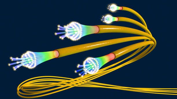 Fiber Optic Vector