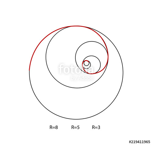 500x479 Fibonacci Spiral Stock Image And Royalty Free Vector