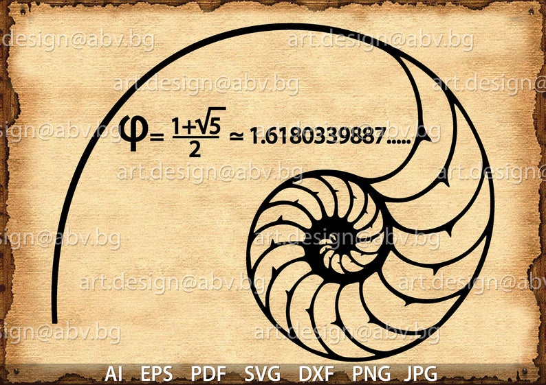 794x561 Vector Fibonacci Spiral Golden Ratio Png Pdf Etsy