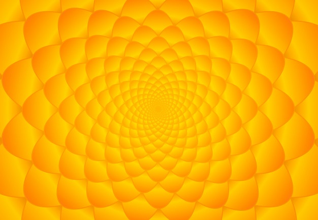 Fibonacci Vectors, Photos And Free Download 626x433 Fibonacci Vectors, Photos And Free Download