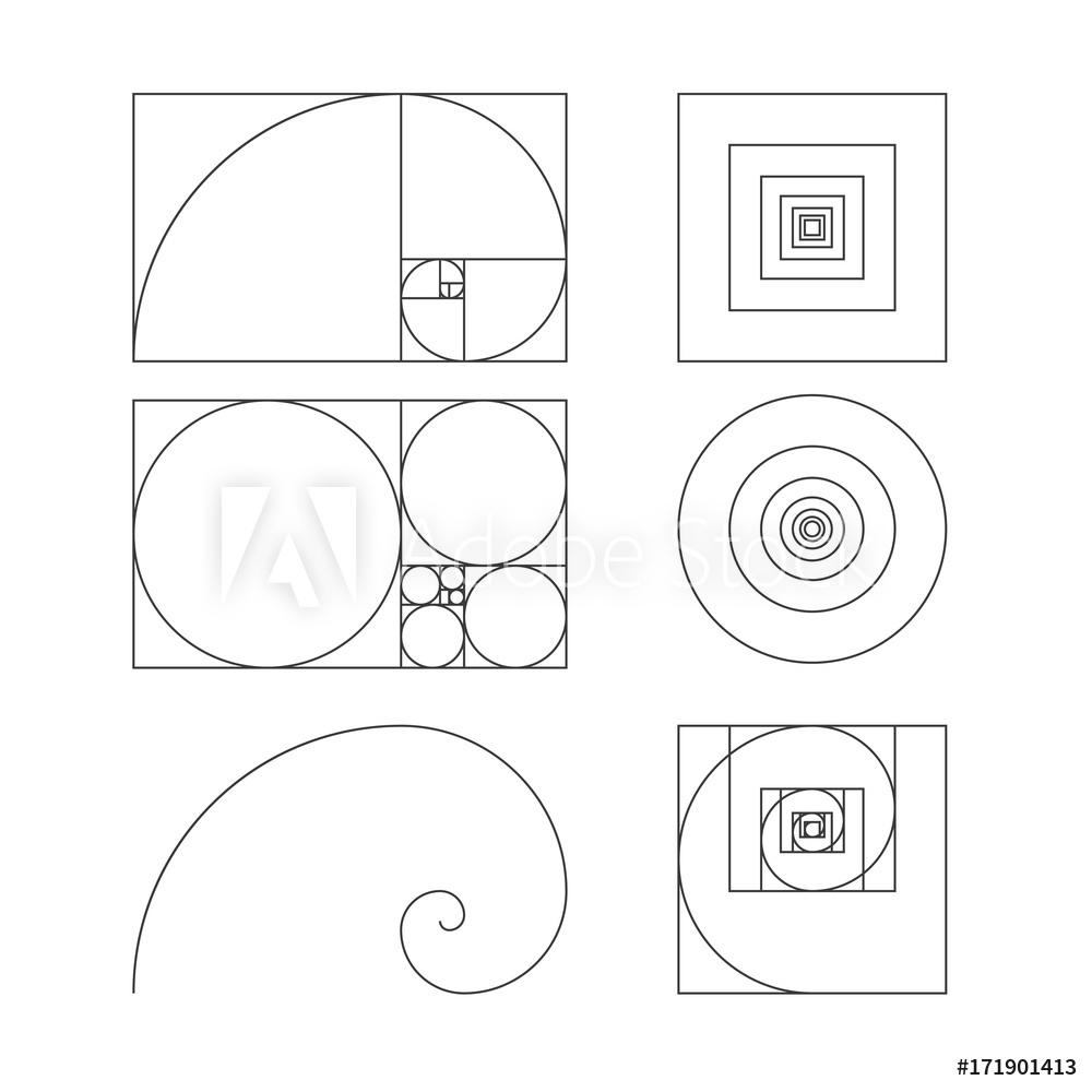 Fotografie, Obraz Golden Ratio Template Vector Illustration 1000x1000 Fotografie, Obraz Golden Ratio Template Vector Illustration