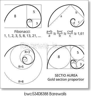 Fibonacci Vector at Vectorified.com | Collection of Fibonacci Vector ...