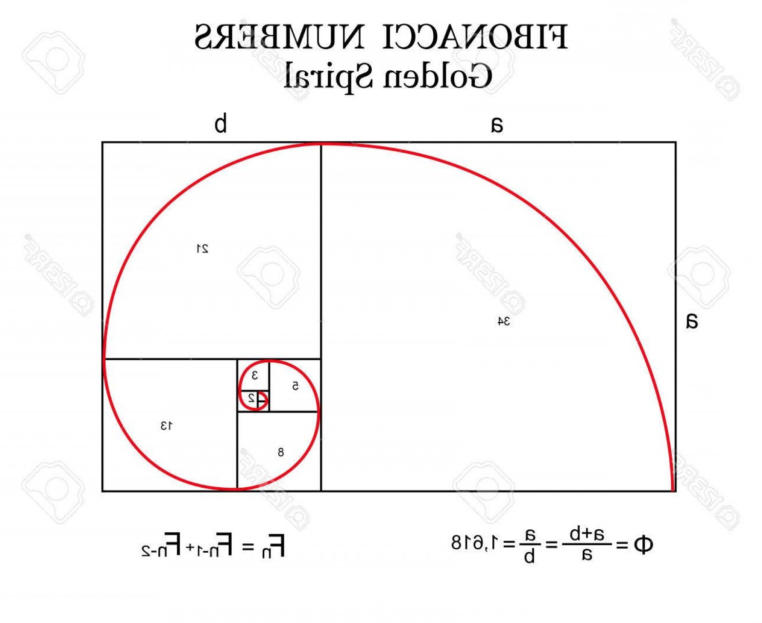 Photostock Vector The Fibonacci Spiral Also Known As The Golden 1560x1276 Photostock Vector The Fibonacci Spiral Also Known As The Golden