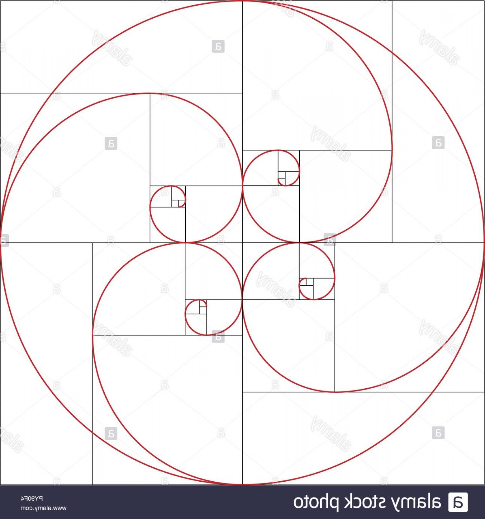 Fibonacci Vector at Collection of Fibonacci Vector