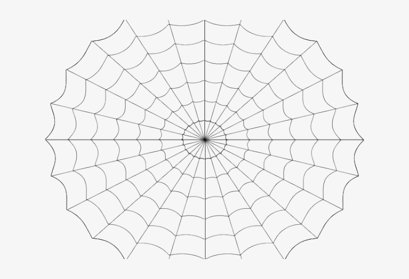 Drawn Spider Web Vector 820x560 Drawn Spider Web Vector