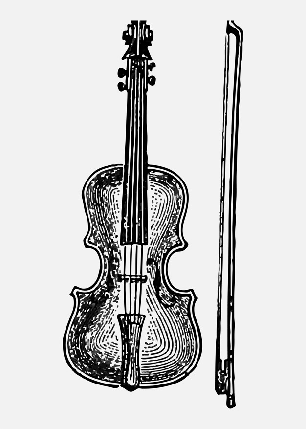 626x877 Violin Vectors, Photos And Free Download