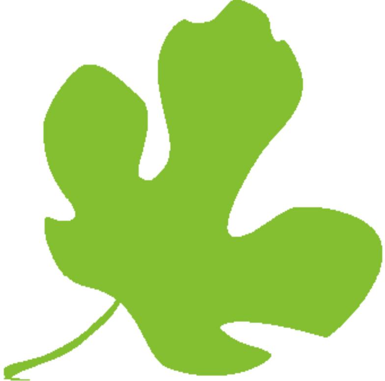784x777 Fig Leaf Clipart Free Cliparts Download Images On Clipground