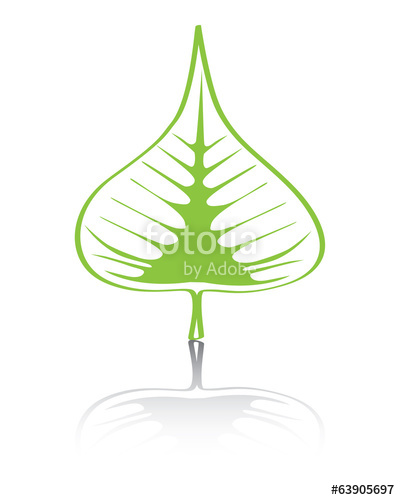 Fig Leaf Vector at Vectorified.com | Collection of Fig Leaf Vector free ...