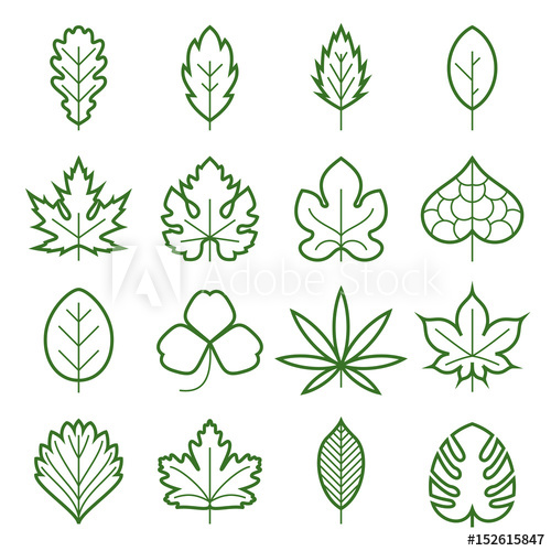 500x500 Leaf Icons Collection Of Green Linear Symbols Of Leaves, Such As