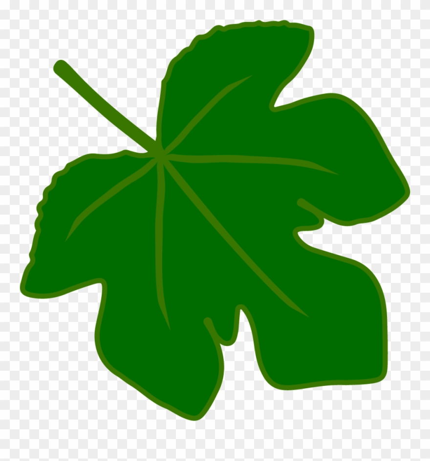 880x945 Vector Art Clipart Leaf