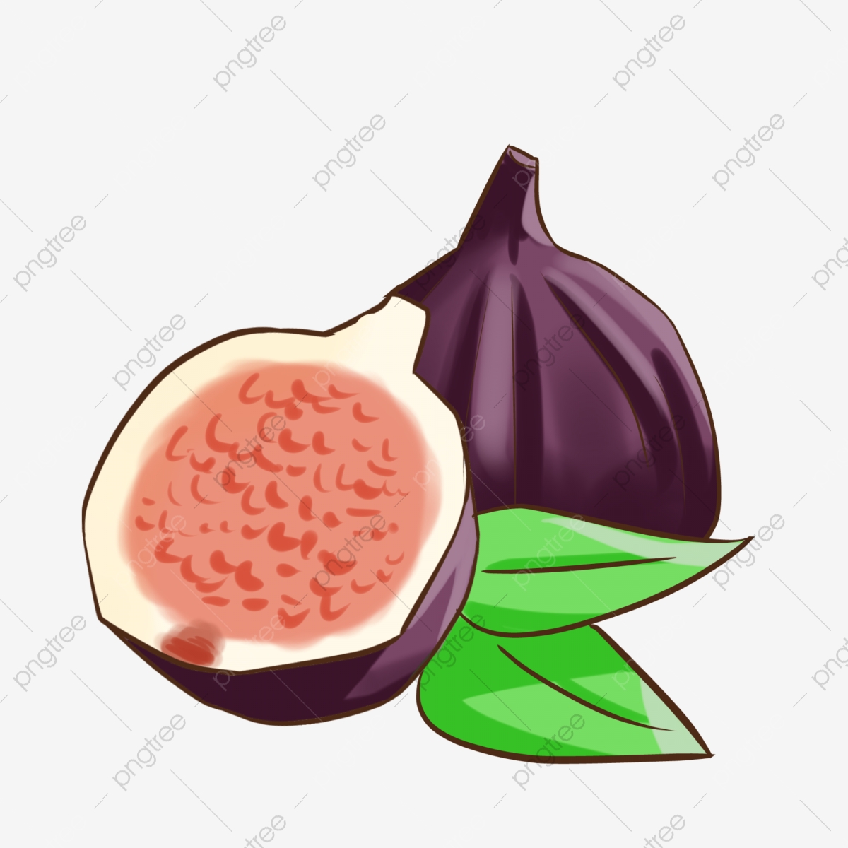 1200x1200 Vector Fig Leaves And Fruits, Fig Fruit Vector, Fig, Leaf Png