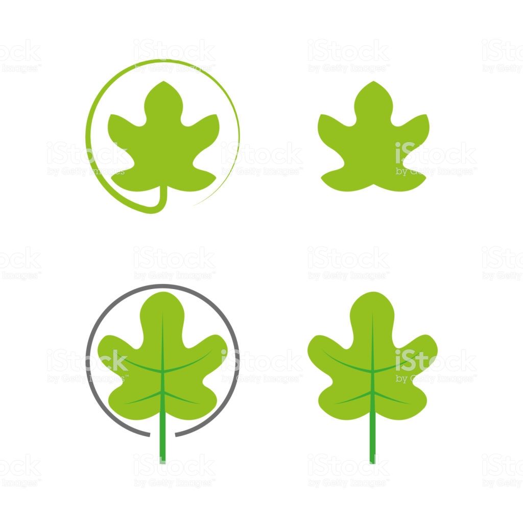 1024x1024 A Set Of Leaf Icons Stock Images