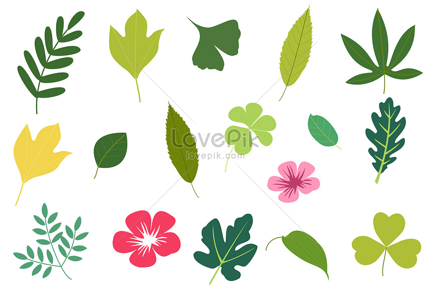 860x573 Fig Leaf Vector Vn
