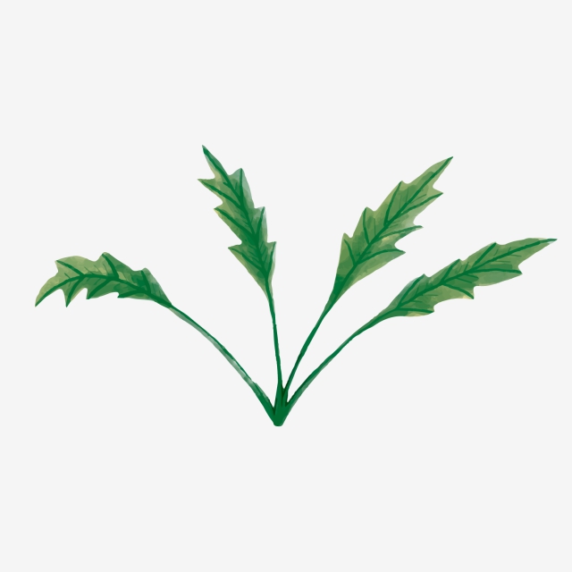 640x640 Fig Leaf Png Images Vector And Free Download