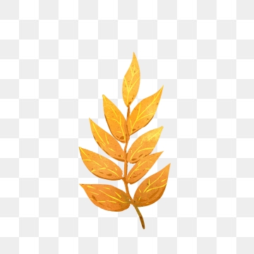 360x360 Fig Leaves Png Images Vector And Free Download