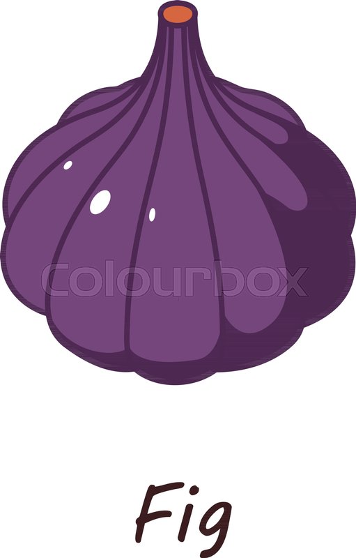 511x800 Fig Icon Isometric Illustration Of Stock Vector Colourbox