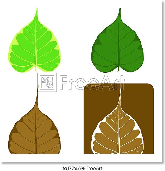 561x581 Free Art Print Of Set Of Bodhi