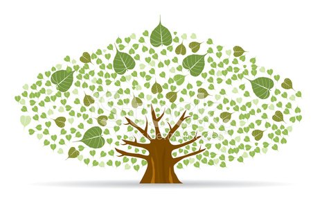 465x300 Set Of Bodhi