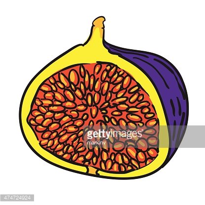416x416 Fig Hand Drawn Fruits Isolated Vector Premium Clipart