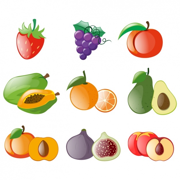 626x626 Fig Vectors, Photos And Free Download