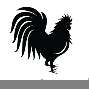 300x300 Fighting Rooster Clipart Free Images
